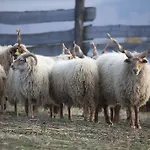 Oereghegyi *